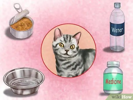 Держите кошку в безопасности в машине Шаг 10