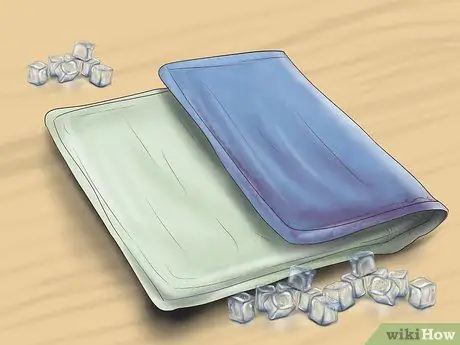 Держите кошку в безопасности в машине Шаг 7