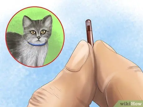 Держите кошку в безопасности в машине Шаг 8