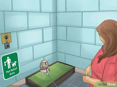 Подготовьте собаку к путешествию по воздуху Шаг 12