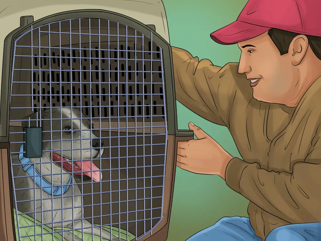 Как подготовить собаку к путешествию по воздуху (с иллюстрациями)