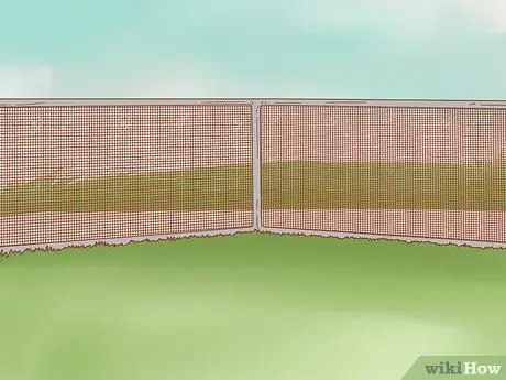 Безопасно выводите котенка на улицу Шаг 1