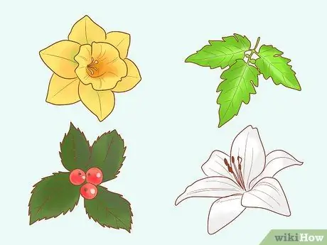 Безопасно выводите котенка на улицу Шаг 11