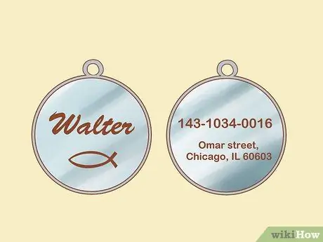 Безопасно выводите котенка на улицу Шаг 13