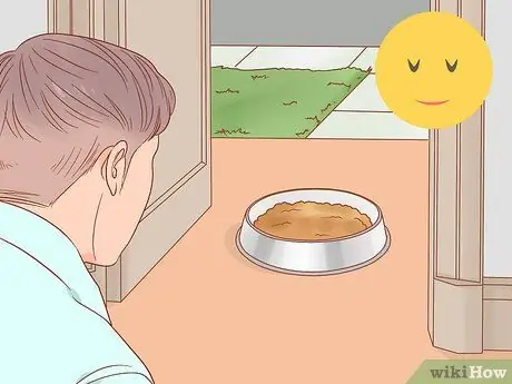 Безопасно выводите котенка на улицу Шаг 6