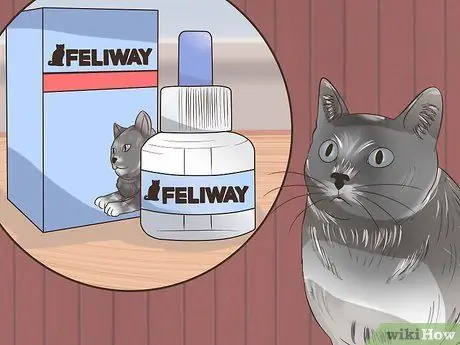 Проезжайте на большие расстояния с кошкой Шаг 10