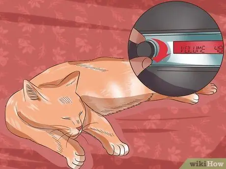 Проезжайте на большие расстояния с кошкой Шаг 13