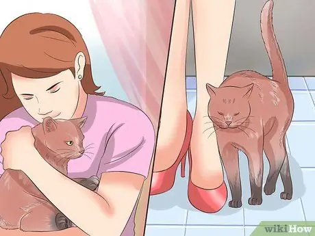 Проезжайте на большие расстояния с кошкой Шаг 15