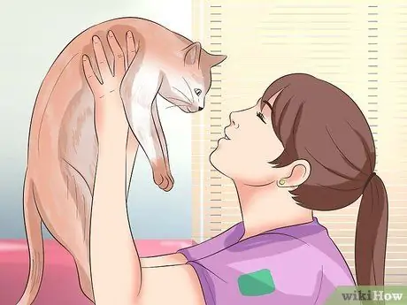 Проезжайте на большие расстояния с кошкой Шаг 16