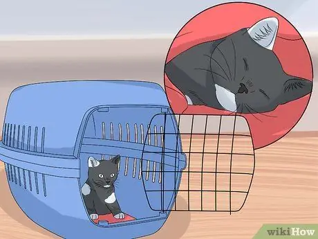 Проезжайте на большие расстояния с кошкой Шаг 2