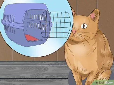 Проезжайте на большие расстояния с кошкой Шаг 3