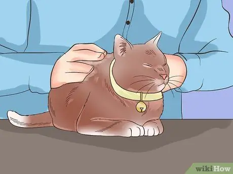 Проезжайте на большие расстояния с кошкой Шаг 6