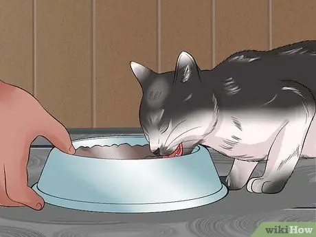 Проезжайте на большие расстояния с кошкой Шаг 7