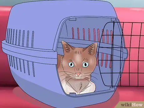 Проезжайте на большие расстояния с кошкой Шаг 8