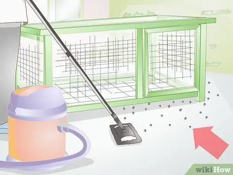 Очистите клетку для кроликов Шаг 15