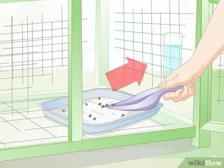 Очистите клетку для кроликов, шаг 3