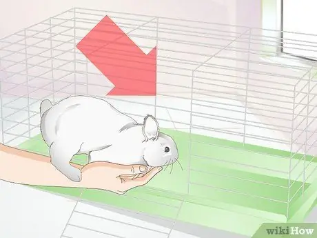 Очистите клетку для кроликов Шаг 7