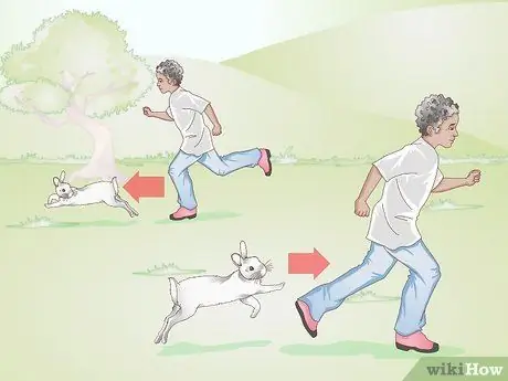 Делайте упражнения для кролика, шаг 1