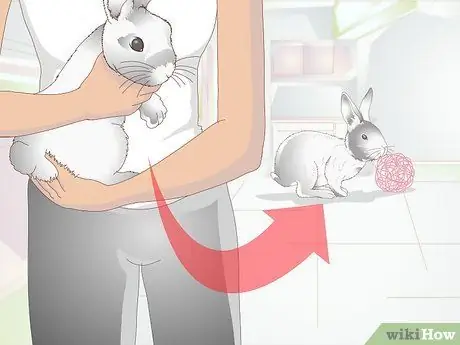 Делайте упражнения для кролика. Шаг 10