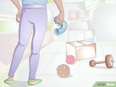 Делайте упражнения для кролика Шаг 12