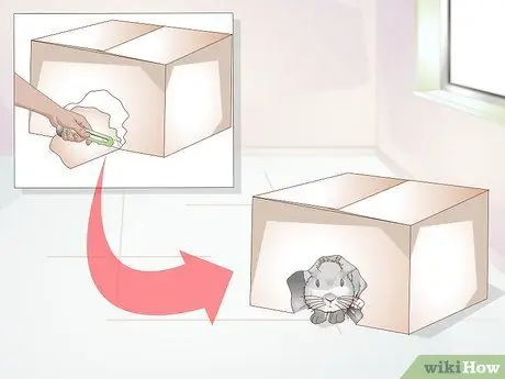 Делайте упражнения для кролика Шаг 15