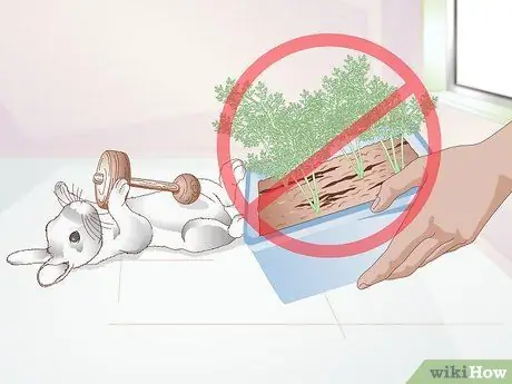 Выполните упражнение для кролика. Шаг 16