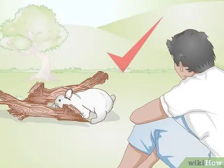 Выполните упражнение для кролика. Шаг 17