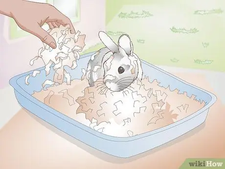 Делайте упражнения для кролика, шаг 5