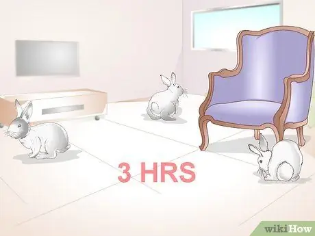 Делайте упражнения для кролика Шаг 8