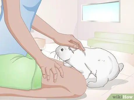 Делайте упражнения для кролика Шаг 9