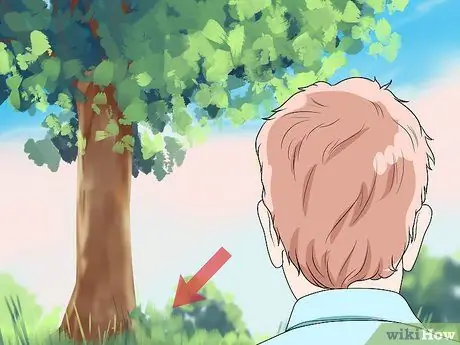 Постройте клетку для кроликов Шаг 16