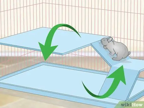 Подготовьте клетку для кроликов Шаг 5