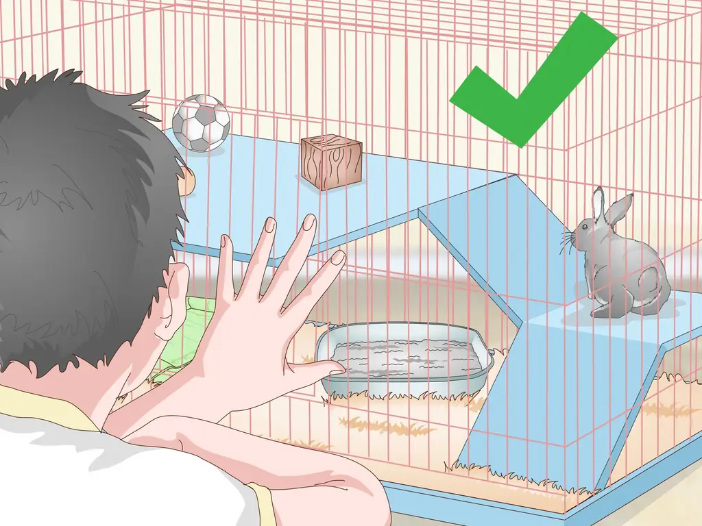 Как подготовить клетку для кроликов (с иллюстрациями)