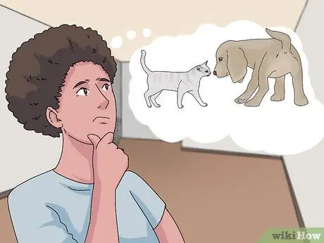 Заставьте кошку и собаку жить вместе, шаг 14