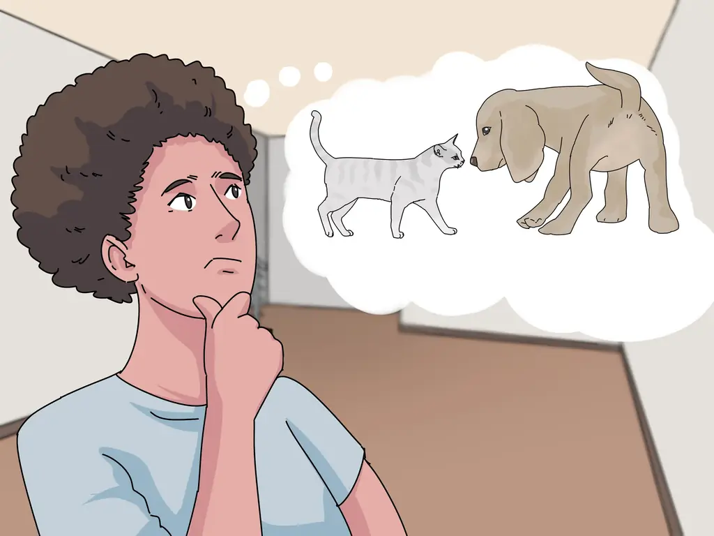 Как заставить кошку и собаку жить вместе: 13 шагов (с иллюстрациями)