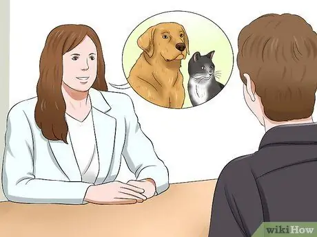 Знакомство старой кошки с новой собакой Шаг 13