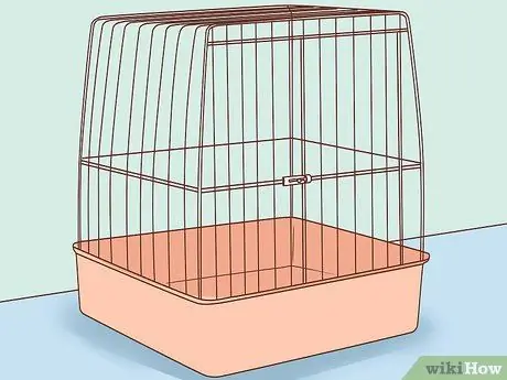 Держите птицу и кошку в одном доме Шаг 1