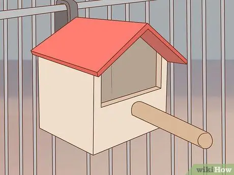 Держите птицу и кошку в одном доме Шаг 4