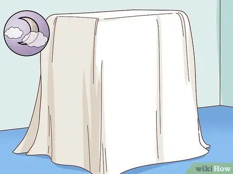 Держите птицу и кошку в одном доме Шаг 5