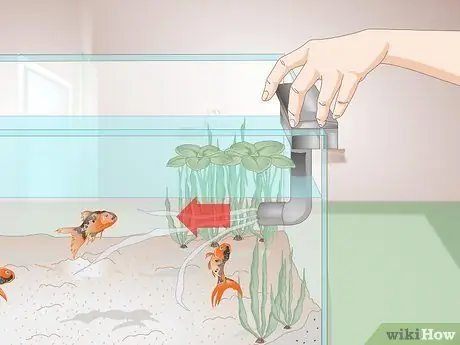 Лечение красных слизистых водорослей в морских аквариумах Шаг 10