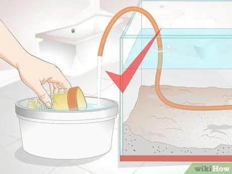 Лечение красных слизистых водорослей в морских аквариумах Шаг 13