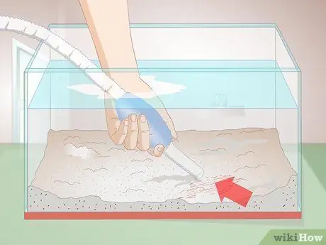 Лечение красных слизистых водорослей в морских аквариумах Шаг 2