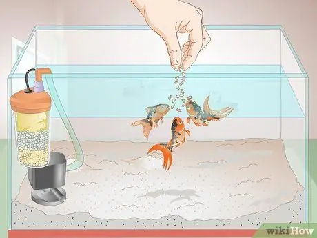 Вылечить красные слизистые водоросли в морских аквариумах Шаг 6