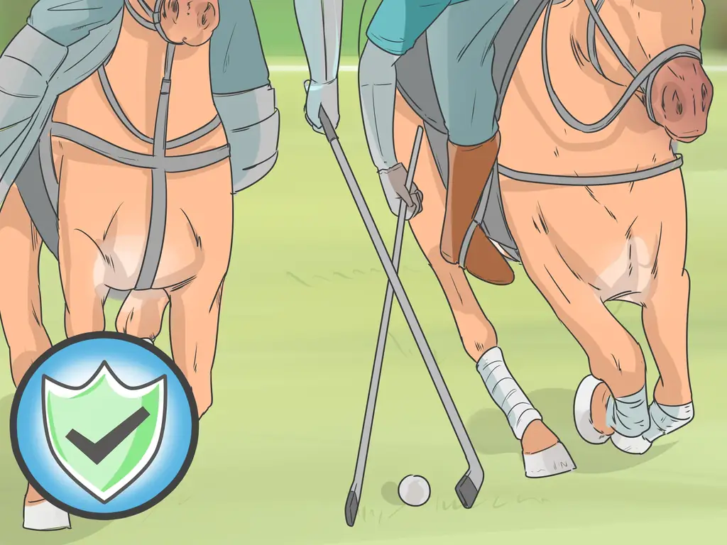 3 способа игры в поло