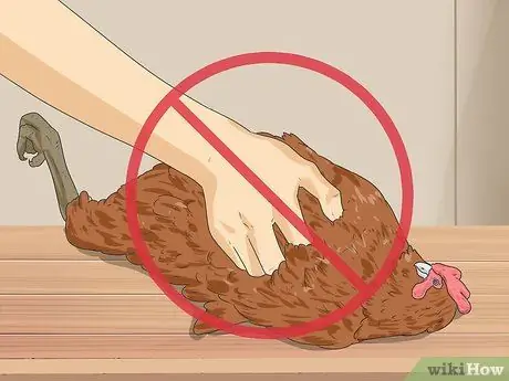 Загипнотизировать курицу Шаг 7