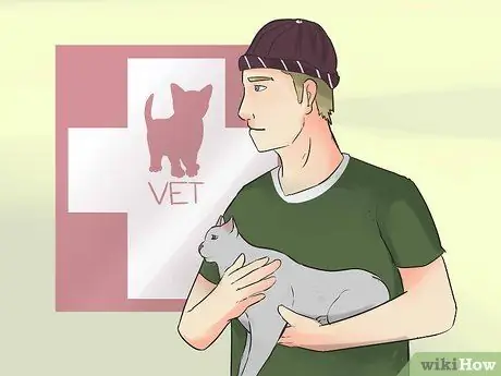 Сообщите, умерла ли ваша кошка Шаг 12