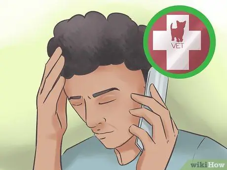 Сообщите, умерла ли ваша кошка Шаг 7