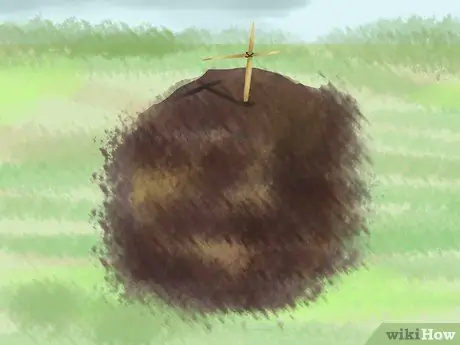 Как узнать, умерла ли ваша кошка Шаг 8