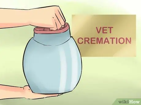 Сообщите, умерла ли ваша кошка Шаг 9