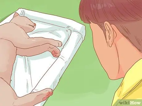 Усыпьте кошку, шаг 3